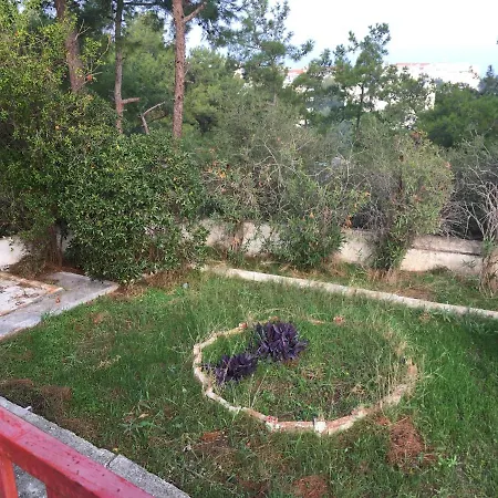 Loving Nature * Agia Triada (Thessaloniki)
